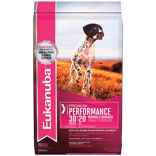 Eukanuba-Premium