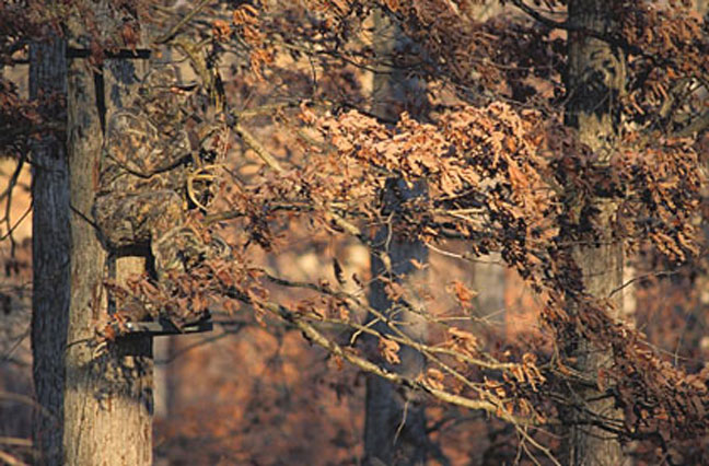 overpressuring-your-hunting-stands
