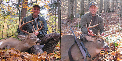Deer of the Day - Adirondack Whitetails, Dave Plagenza