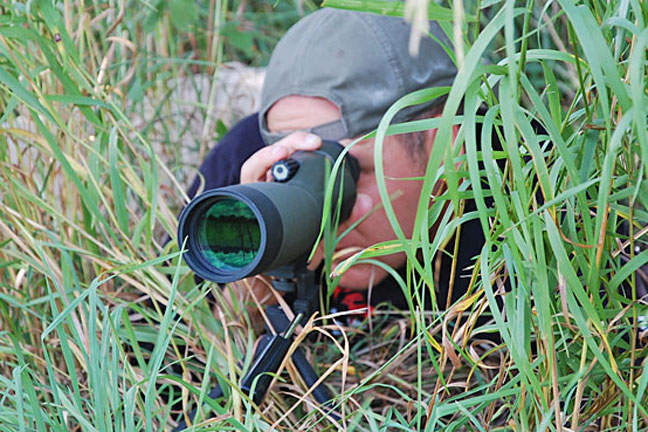 scouting-blunders-for-whitetail-deer