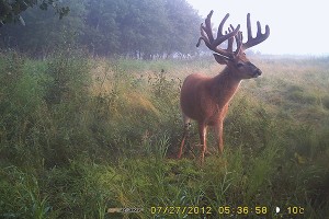 dean_part_trailcam