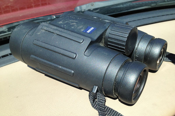 scouting for whitetail with binoculars