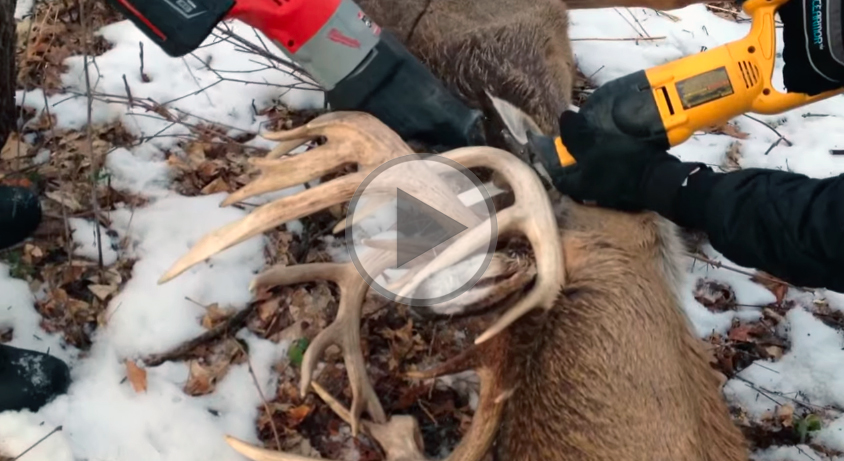 MN-Deer-Saved