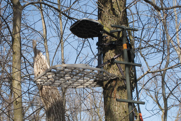 treestand_theft_12