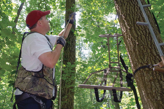 when-to-hang-treestands