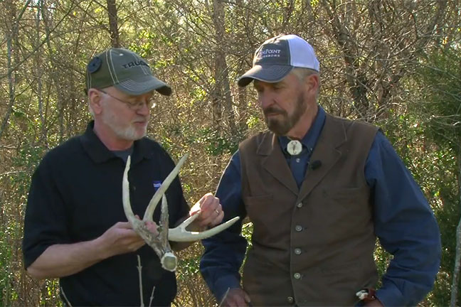 Antler-Casting-Science