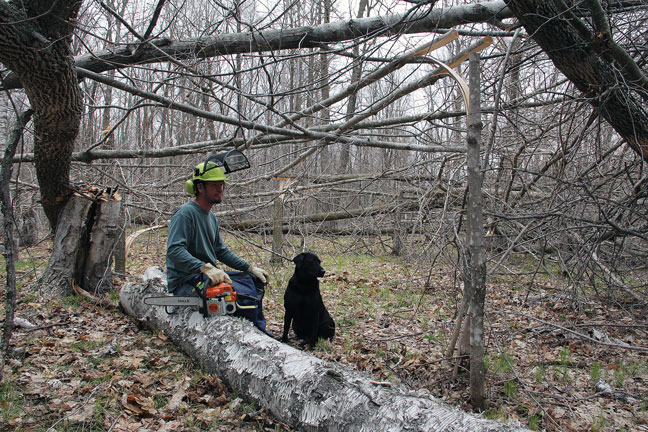 deer-management-and-whitetail