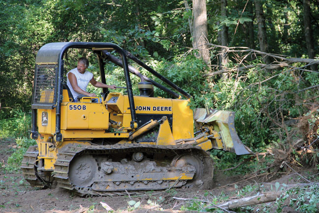 deer-management-for-whitetail