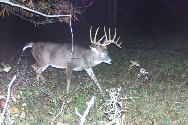 Adam-Crumrin-buck-illinois