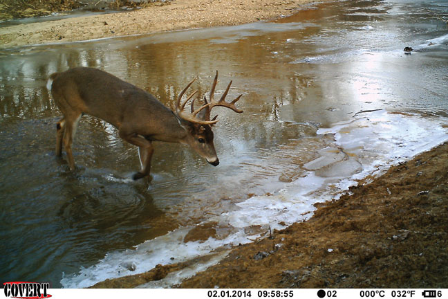 big-bucks-in-illinois