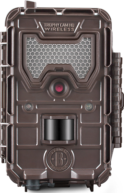 Bushnell