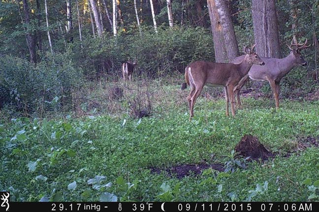 The-Deer-Ground-Plunge-4