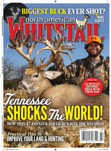 Non-Typical Whitetail