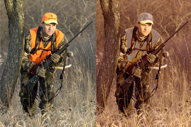 What-Do-Deer-See-2