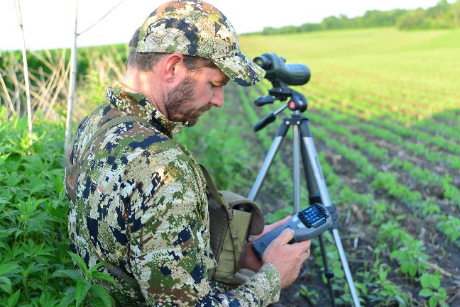Summer-Deer-Scouting-2