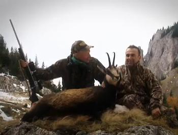 Carpathian Chamois Hunting In Transylvania