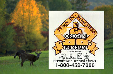 Deer Season = Jail Season for Oregon Poachers