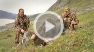VIDEO: Greenland Muskox Hunt