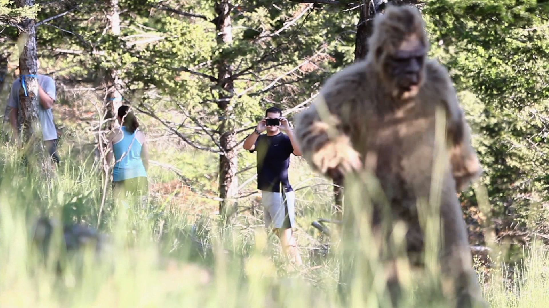 Bigfoot documentary on tubi