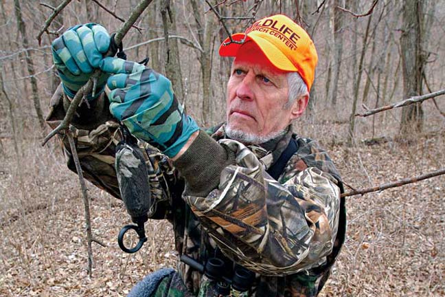 when-to-hunt-the-rut