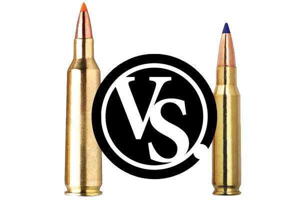 what-s-the-best-coyote-cartridge-22-250-versus-223