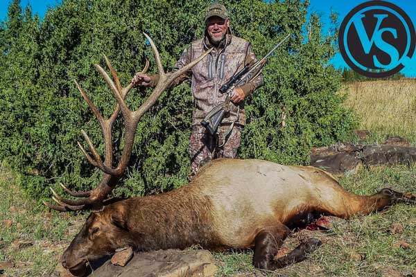 best elk cartridge