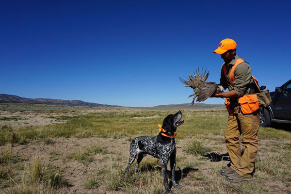 upland-hunting-f