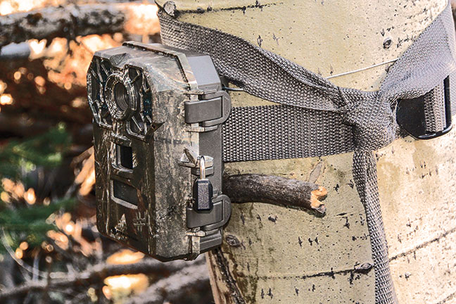 Public-Land-Trail-Cameras