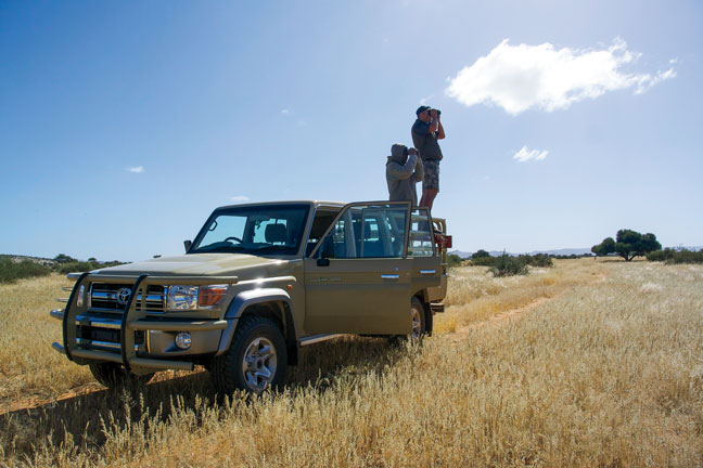 jackal-hunting-in-africa