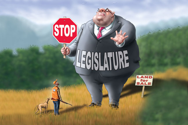 public-land-and-politics