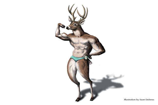 a-big-deer-year