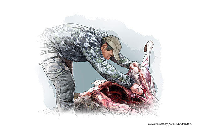 woodsmanship-for-backcountry-hunts