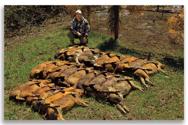 how-to-effectively-control-wild-hogs