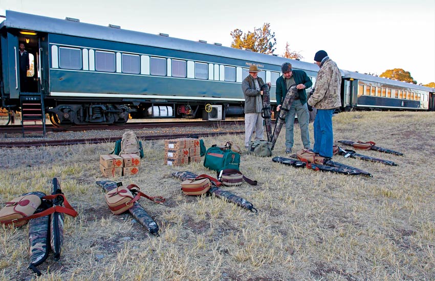 safari-on-african-train
