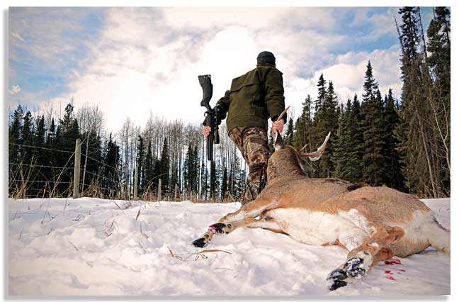 states-to-hunt-whitetail-in-the-west