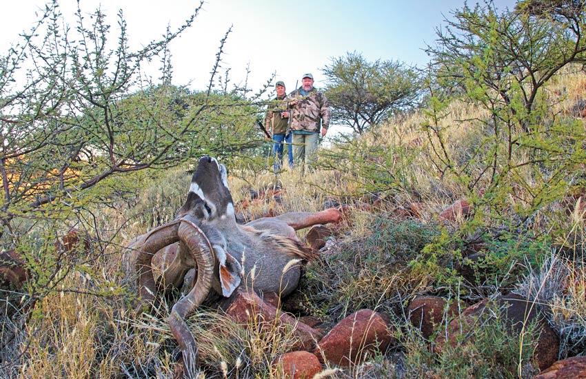 train-safari-hunt-in-africa