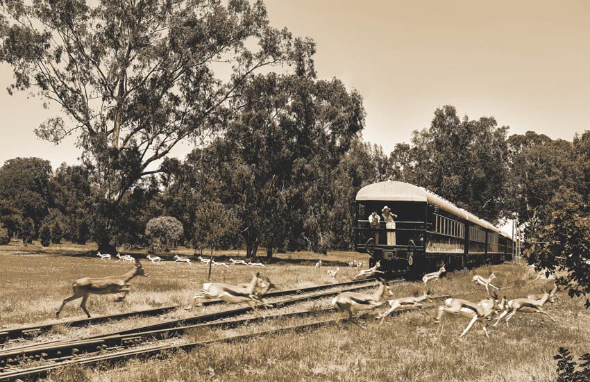 train-safari-in-africa