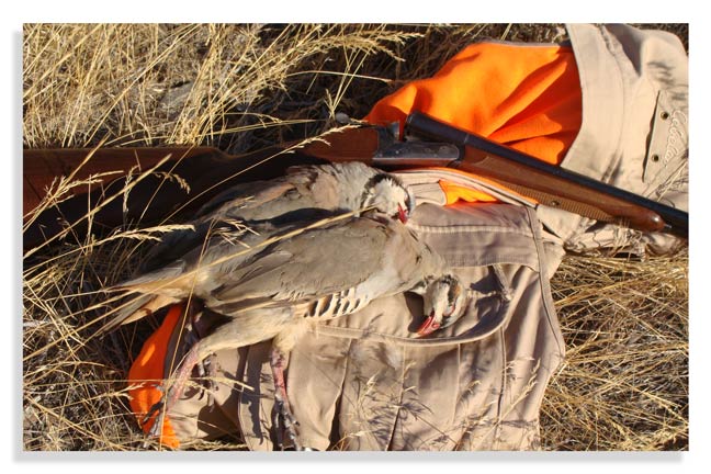 cast-and-blast-in-hells-canyon-idaho