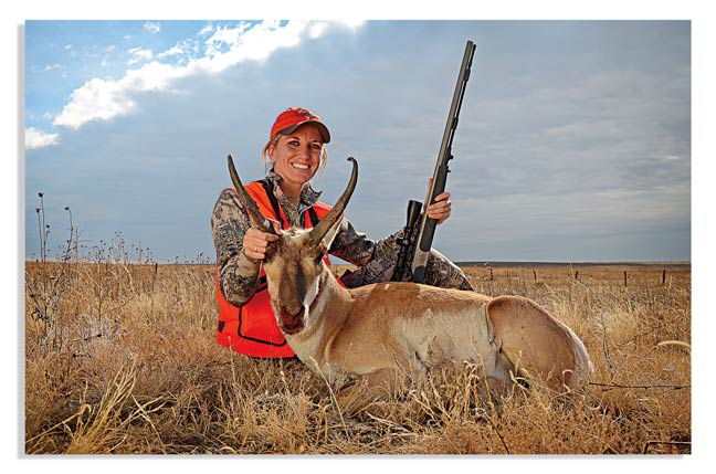 colorado-antelope