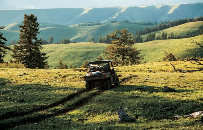 hunt-idaho-black-bears