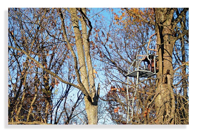 hunting-whitetails-in-the-midwest