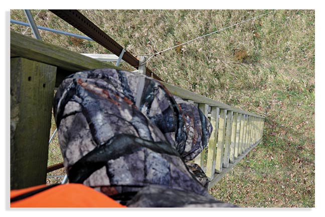 whitetail-hunting-in-the-midwest