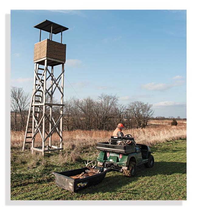 whitetail-hunting-tips
