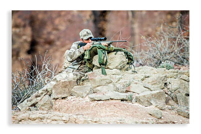 Aoudad-hunting-in-texas