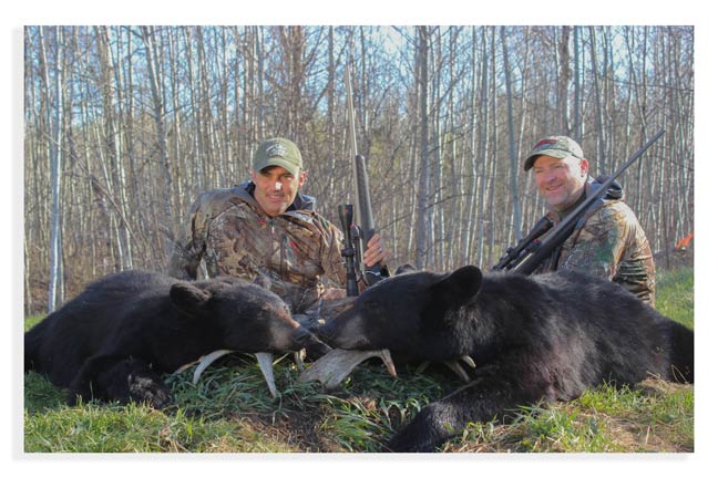 bear-for-new-hunters