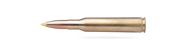 .270 Winchester