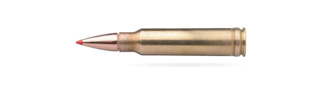 .338 Winchester Magnum