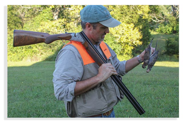 doves-for-new-hunters