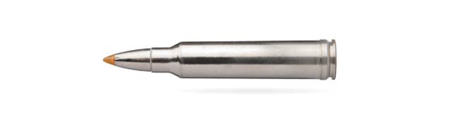 .300 Winchester Magnum