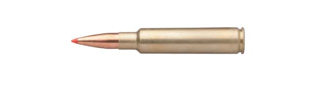 .25-06 Remington
